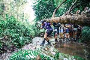 BIB: 
                            <button type="button" onclick="openModal(25472356)" class="btn btn-primary btn-sm float-right btn-popup" data-toggle="modal" data-target=".modal-high-quality">
                        <i class="fas fa-shopping-cart"></i> Add to Cart
                    </button>
                                            <button type="button" onclick="isThisMe(25472356, true)" class="btn btn-success btn-sm float-right btn-popup btn-isme hidden" data-toggle="tooltip" data-placement="bottom" title="นี่คือรูปของคุณใช่ไหม คลิกที่นี่เพื่อเอาเข้าอัลบั้ม">
                        <i class="fas fa-plus"></i> Add to album
                    </button>
                    <button type="button" onclick="isThisMe(25472356, false)" class="btn btn-warning btn-sm float-right btn-popup btn-isnotme hidden">
                        <i class="fas fa-ban"></i> Remove from album
                    </button>